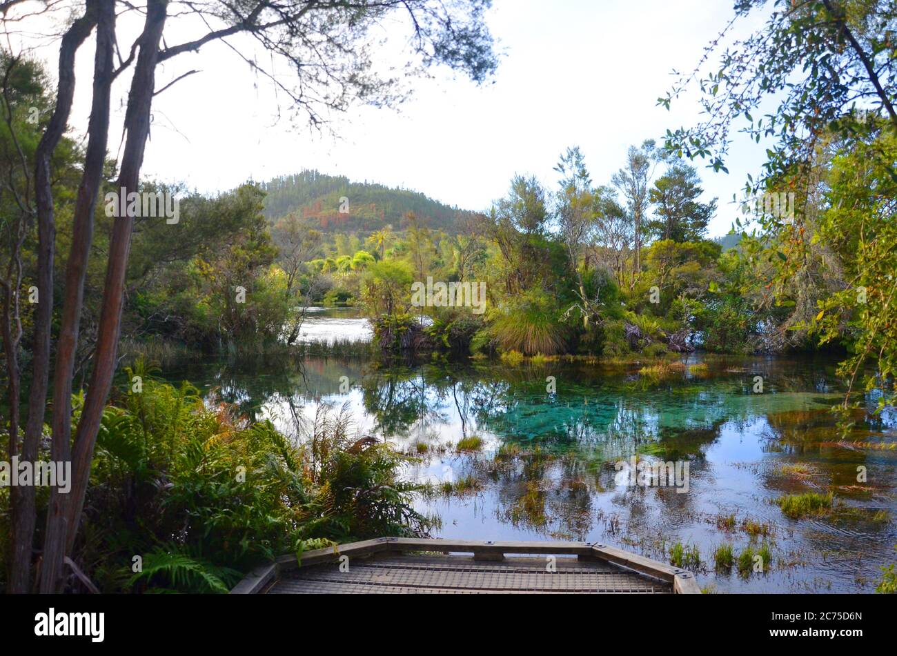 The Pupu Spring (Te Waikoropupu springs) in Golden Bay are home to the clearest springwater in the world. Stock Photo