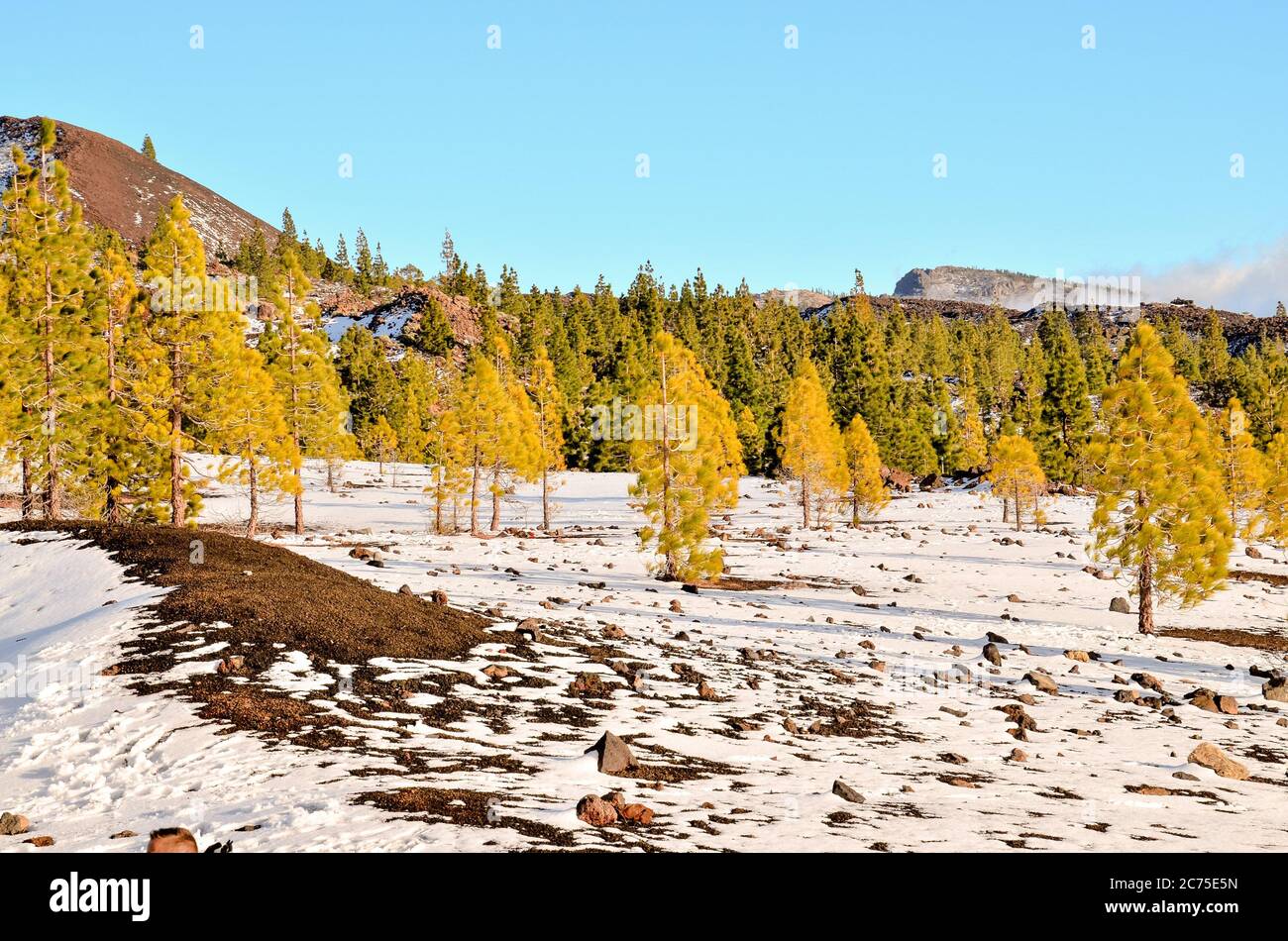 Winter Landscape on the High Mountain Range Stock Photo - Alamy