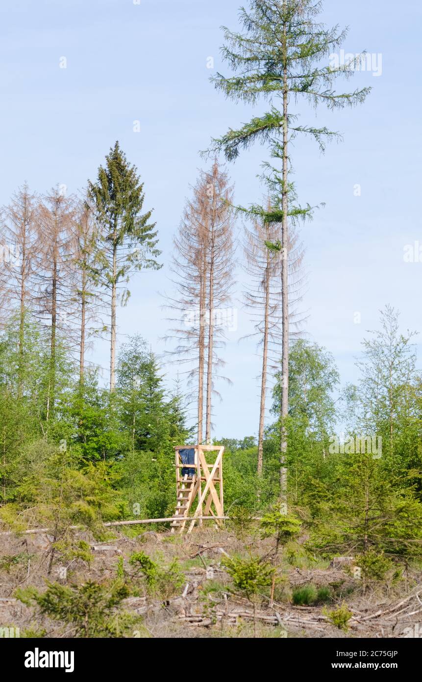 Wooden Raised Hide For Hunting And Observation Of Wildlife Near A Forest In Germany Western 