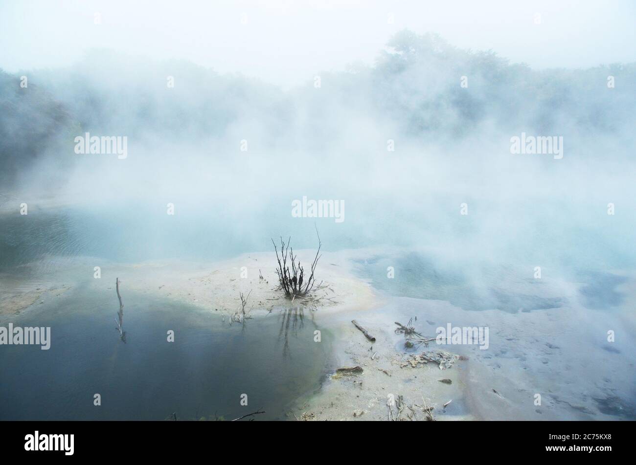 Rotorua, a town set on its namesake lake on New Zealand's North Island, is renowned for its geothermal activity and Maori culture. Stock Photo
