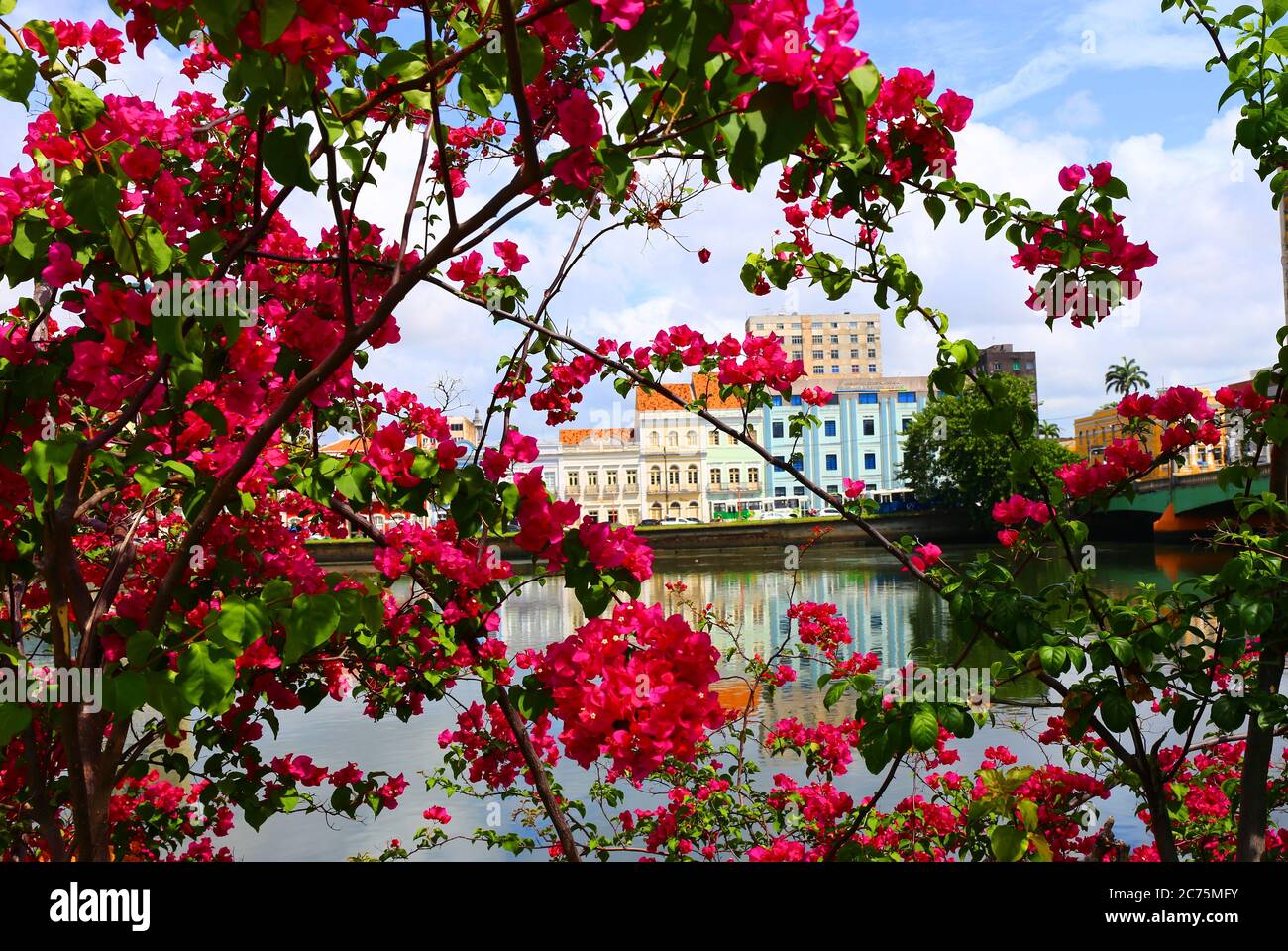 Beautiful view at the old town in Recife, Pernambuco, Brazil Stock Photo
