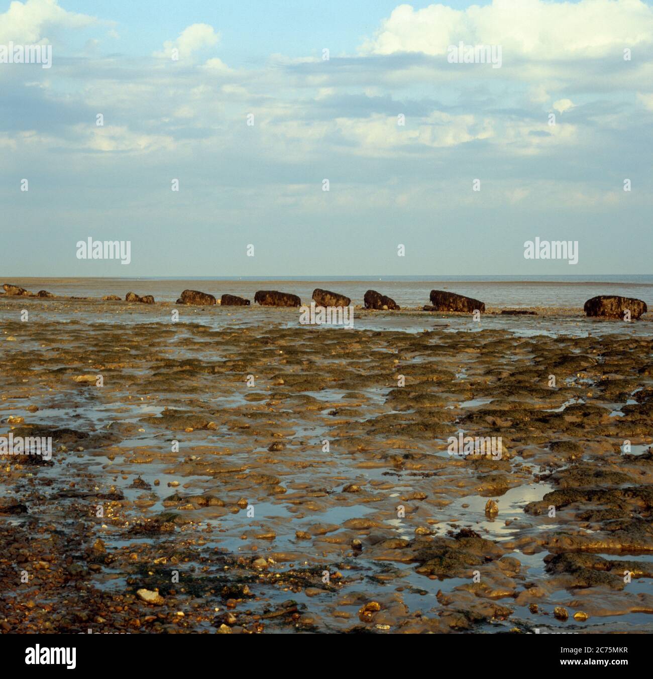 Mersea Rocks Mud and rocks at Mersea beaches Stock Photo - Alamy