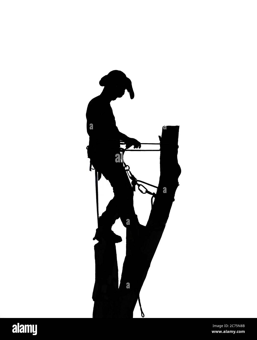 Black and White illustration of a tree surgeon at the top of a tree Stock Photo