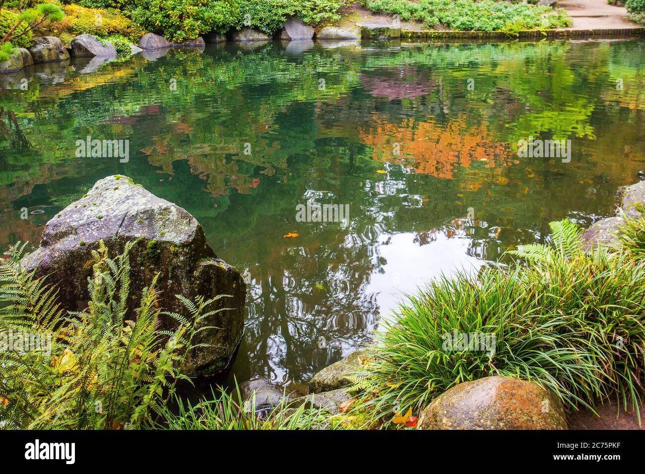 Amazing yellow and orange leaves of maple and reflection in water in