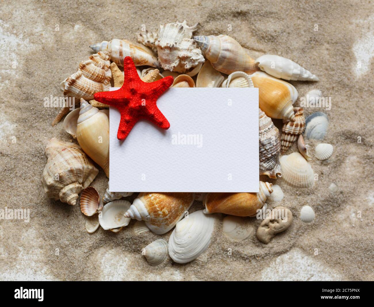 Many shells hi-res stock photography and images - Alamy
