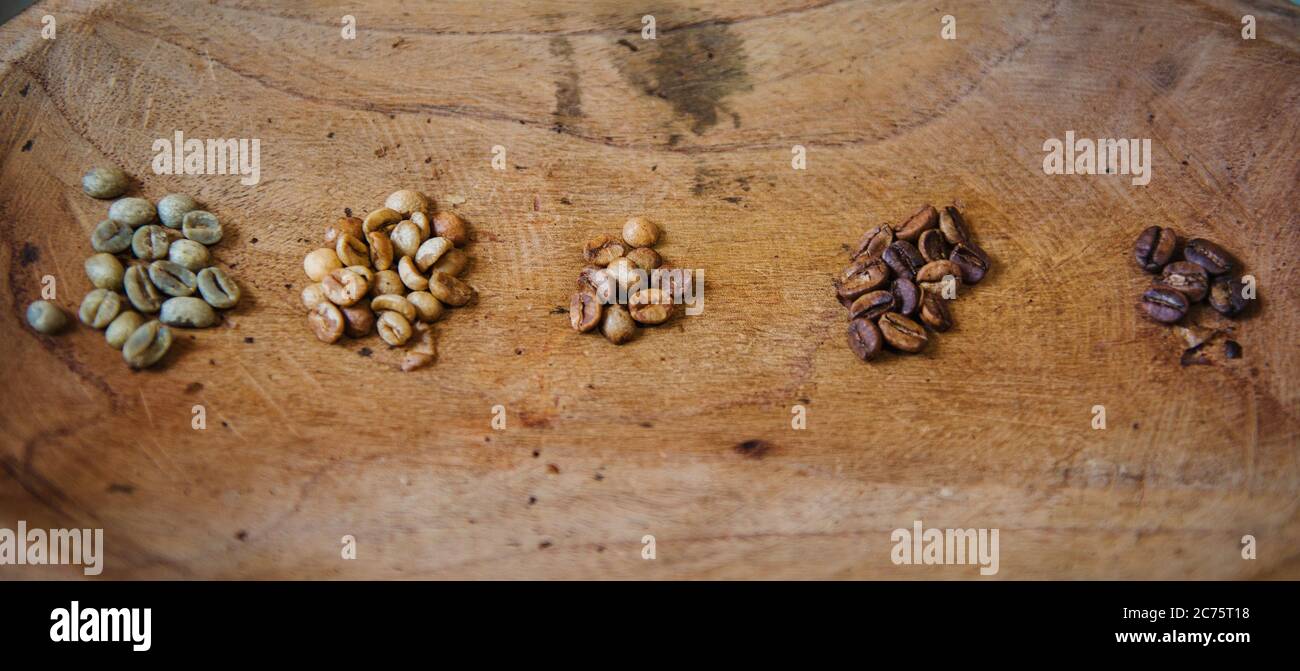 Coffee beans at different levels of roasting Stock Photo