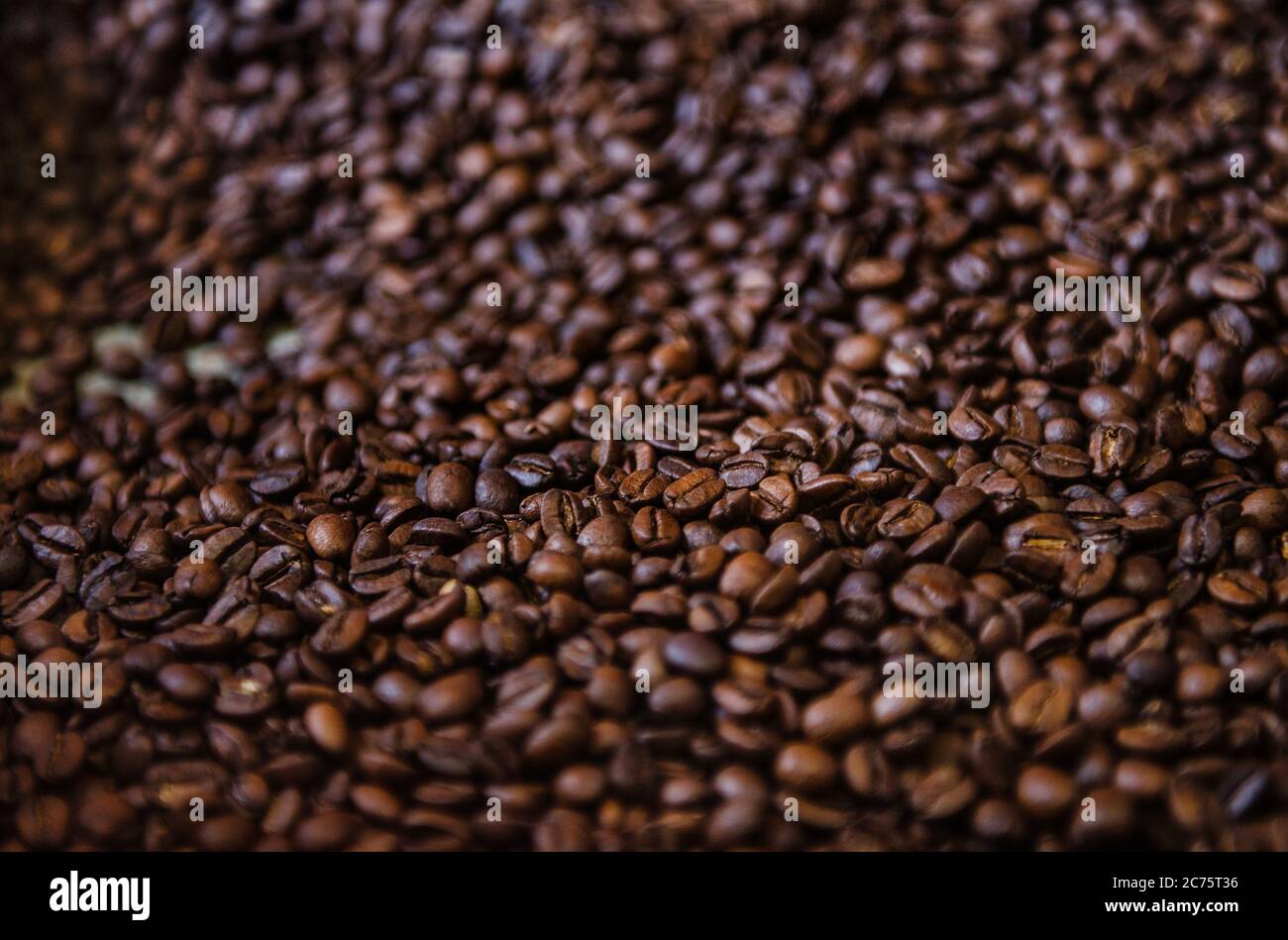 Freshly roasted coffee beans, Boquete, Panama, Central America Stock