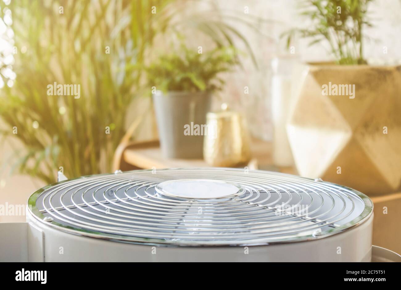 Selective focus on home air cleaner ventilator fan machine in home living room, houseplant grow on background. Allergy and dust free home concept. Stock Photo