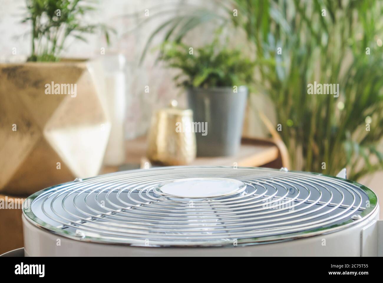 Selective focus on home air cleaner ventilator fan machine in home living room, houseplant grow on background. Allergy and dust free home concept. Stock Photo