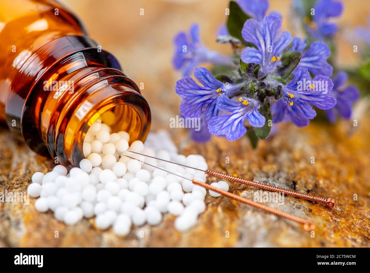 alternative medicine with acupuncture and herbal pills Stock Photo