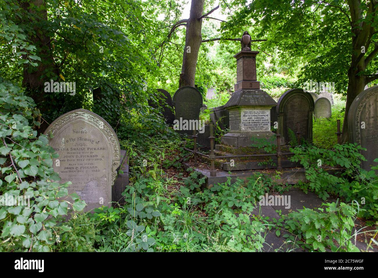 Sheffield General Cemetery is an old disused cemetery containing many graves of Sheffield's notable victorians. It is now overgrown. Stock Photo