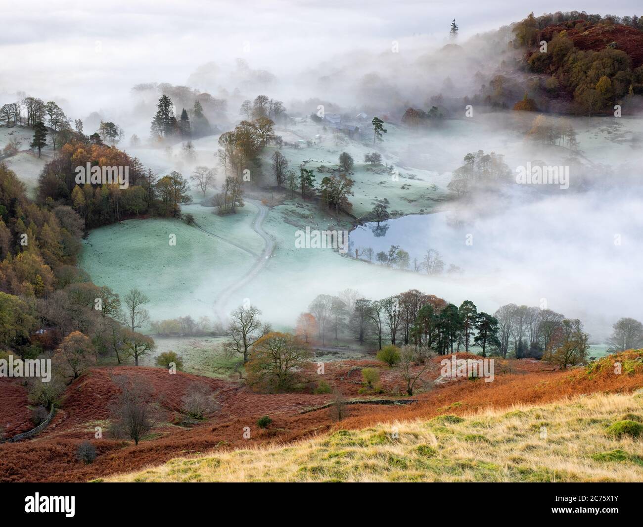 A layer of mist envelopes the frosty land around Loughrigg Tarn on a chilly autumn morning in the English Lake District, moments before sunrise. Stock Photo