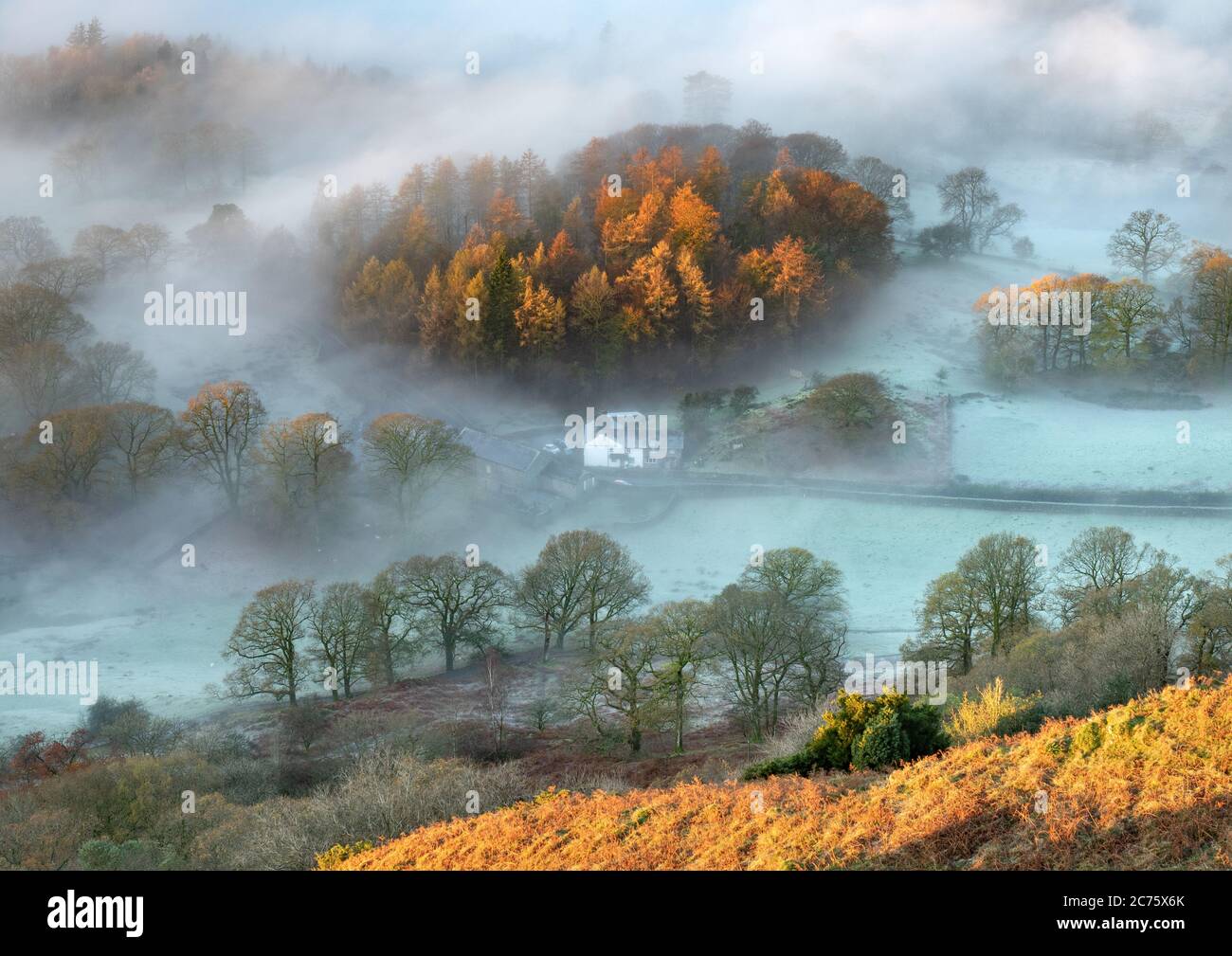 The landscape surrounding Oaks Farm, Great Langdale, is transformed by the first light of day catching the mist and frost on an autumn morning. Stock Photo