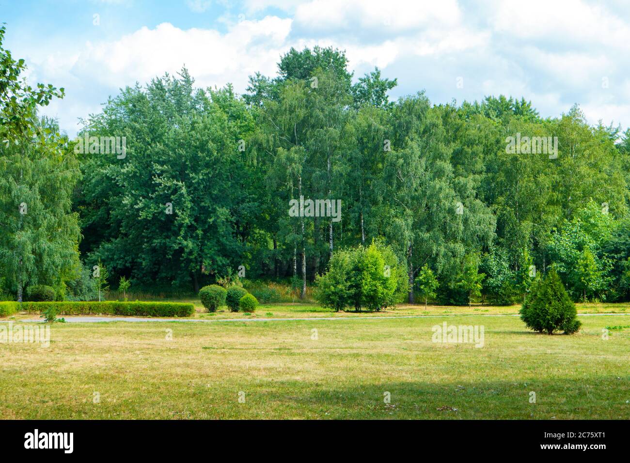 Green park with trees and grass. Sunny landscape Stock Photo - Alamy