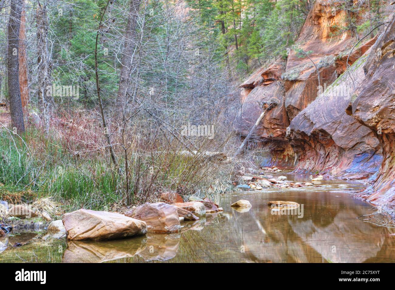 The West Fork trail in Sedona, Arizona, United States Stock Photo Alamy