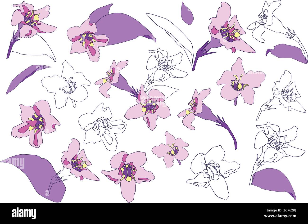 Vector set of abstract blooming flowers. Purple flowers vector colletion. Isolated violet flowers illustration. Stock Vector