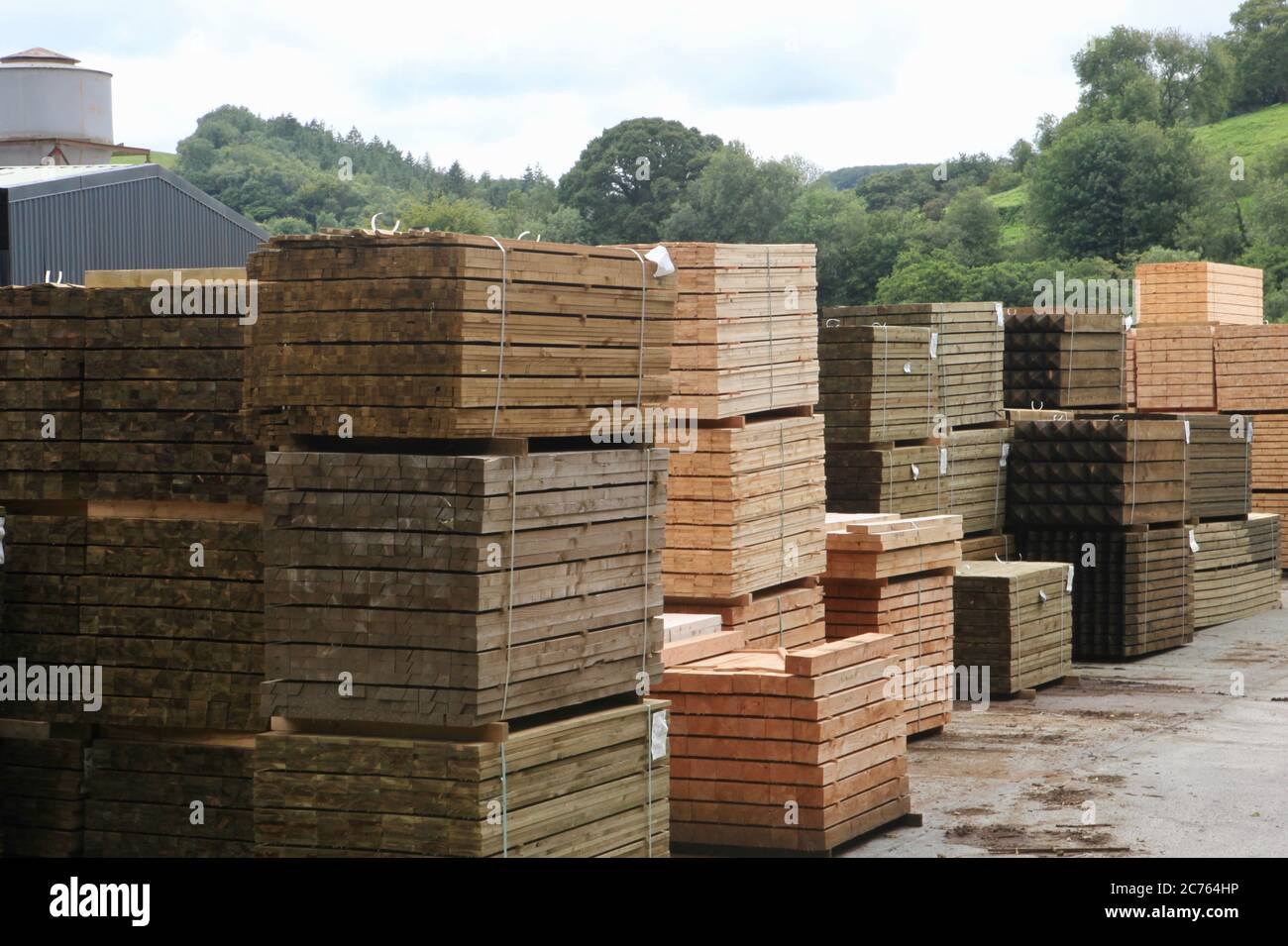 stacked timber in timber yard Stock Photo Alamy