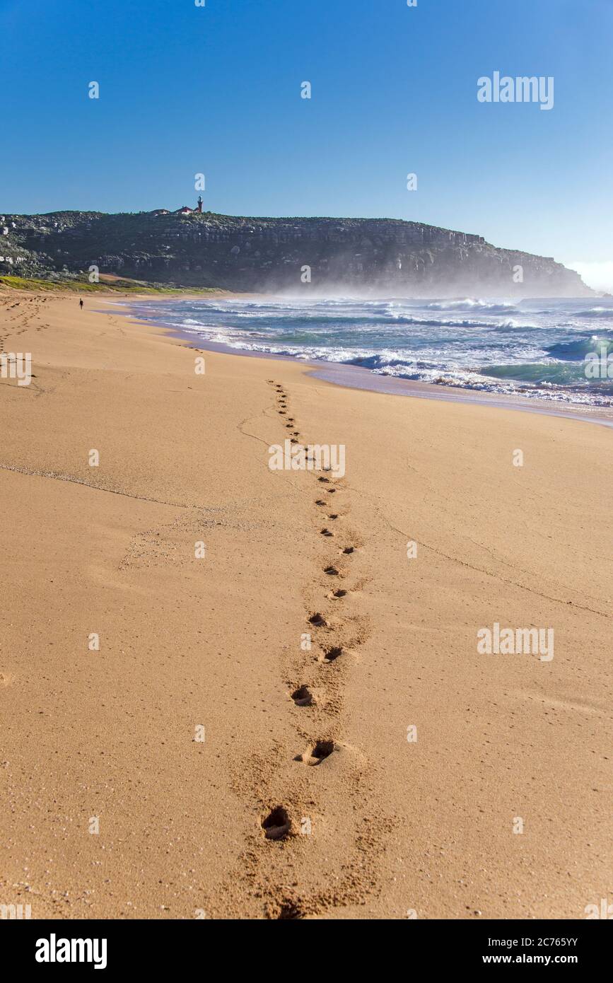 South foot hi-res stock photography and images - Alamy