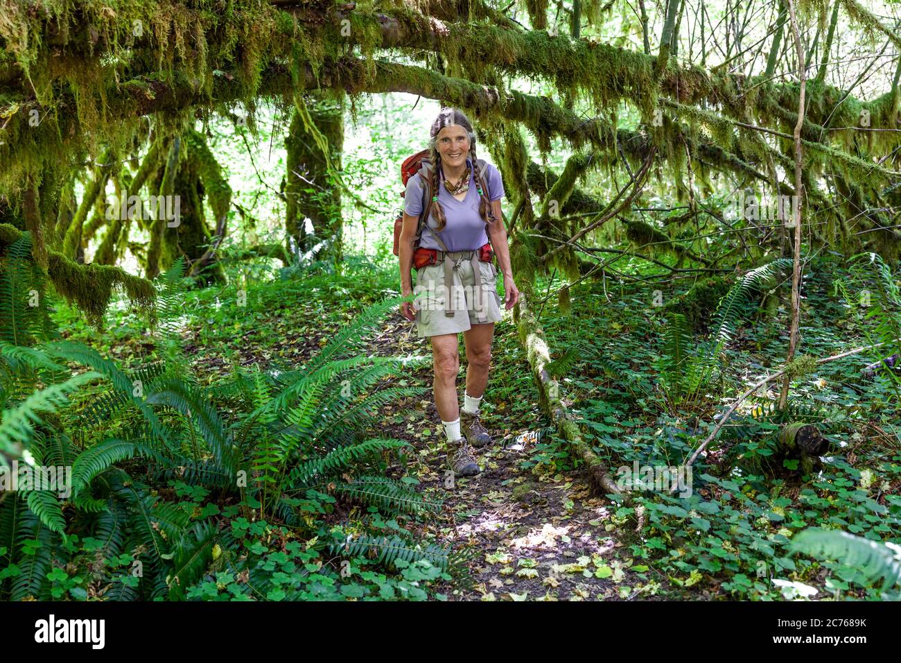 WA17470-00....WASHINGTON - Vicky Spring hiking along the Hoh River Trail in Olympic National Park. Stock Photo
