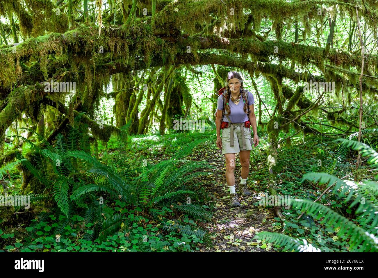WA17472-00....WASHINGTON - Vicky Spring hiking along the Hoh River Trail in Olympic National Park. Stock Photo