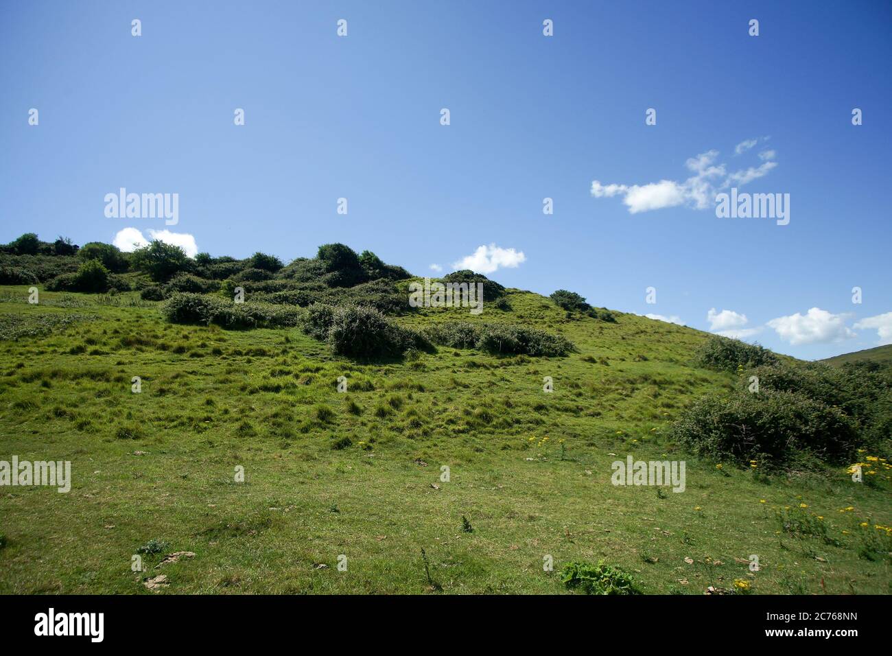 Jurassic Coast, Dorset Stock Photo Alamy