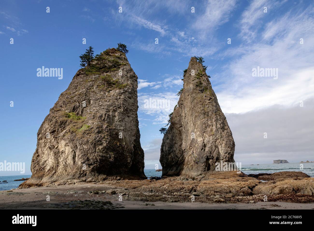 WA17482-00...WASHINGTON - Two sea stacks near Hole-in-the-wall at the north end of Rialto Beach in Olympic National Park. Stock Photo