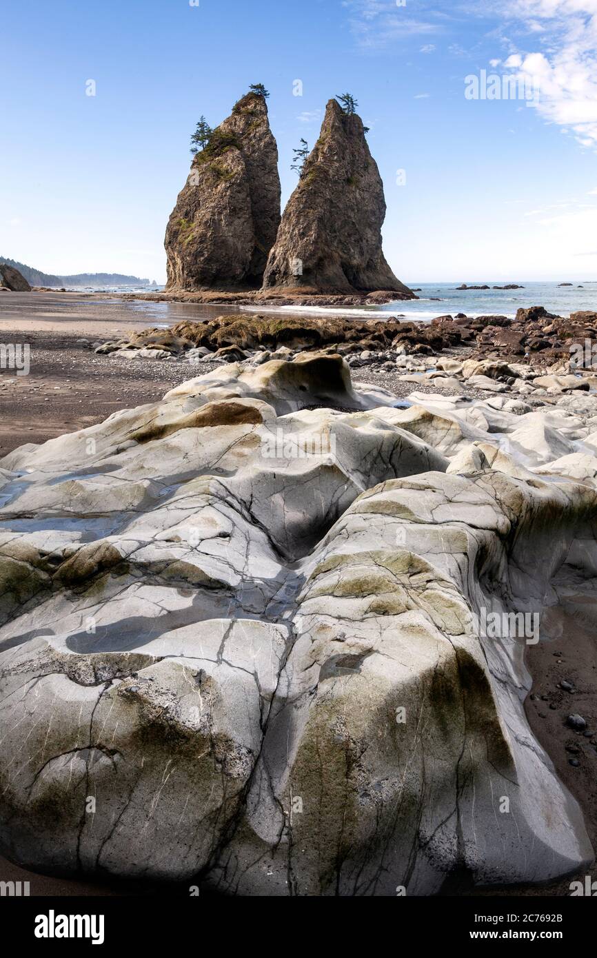 WA17483-00...WASHINGTON - Two sea stacks near Hole-in-the-wall at the north end of Rialto Beach in Olympic National Park. Stock Photo