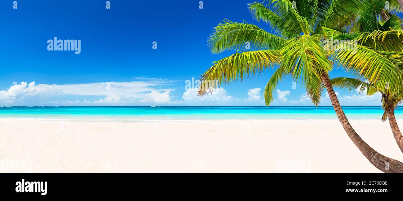 Coconut palm trees against blue sky and beautiful beach in Punta Cana, Dominican Republic. Vacation holidays background wallpaper. View of nice tropic Stock Photo