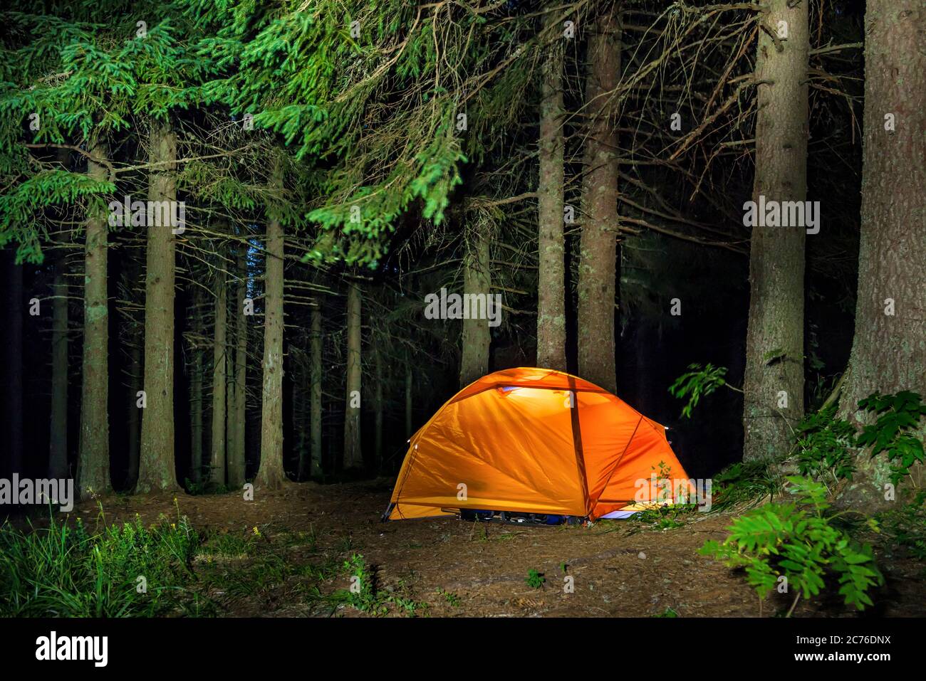 Camping in the forest. Orange illuminated tent under dark night trees ...