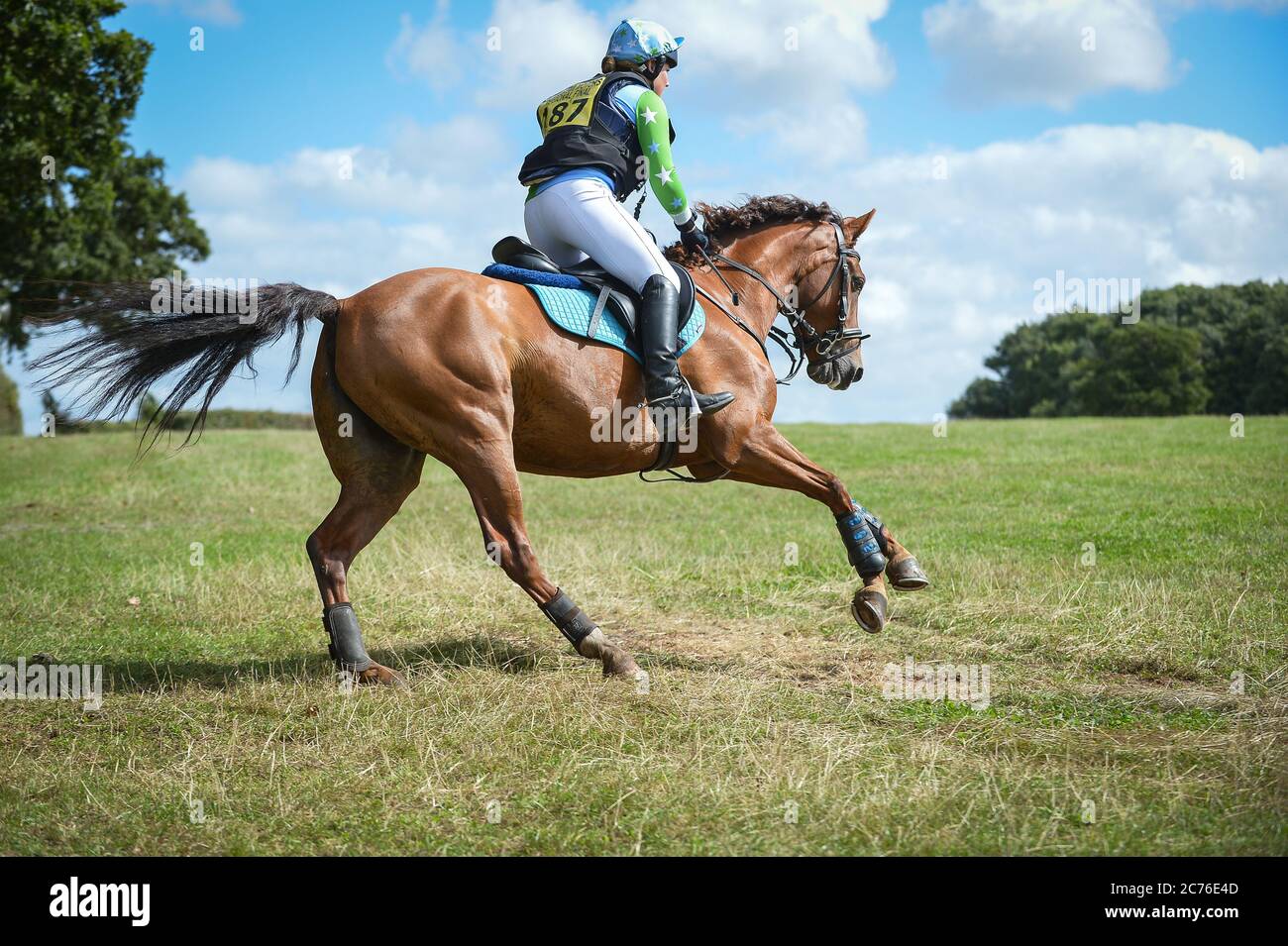 Horse and rider cross country on ODE (One day event Stock Photo - Alamy