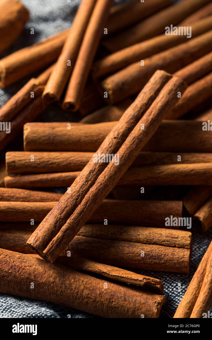 Raw Organic Cassia Cinnamon Sticks in a Bunch Stock Photo