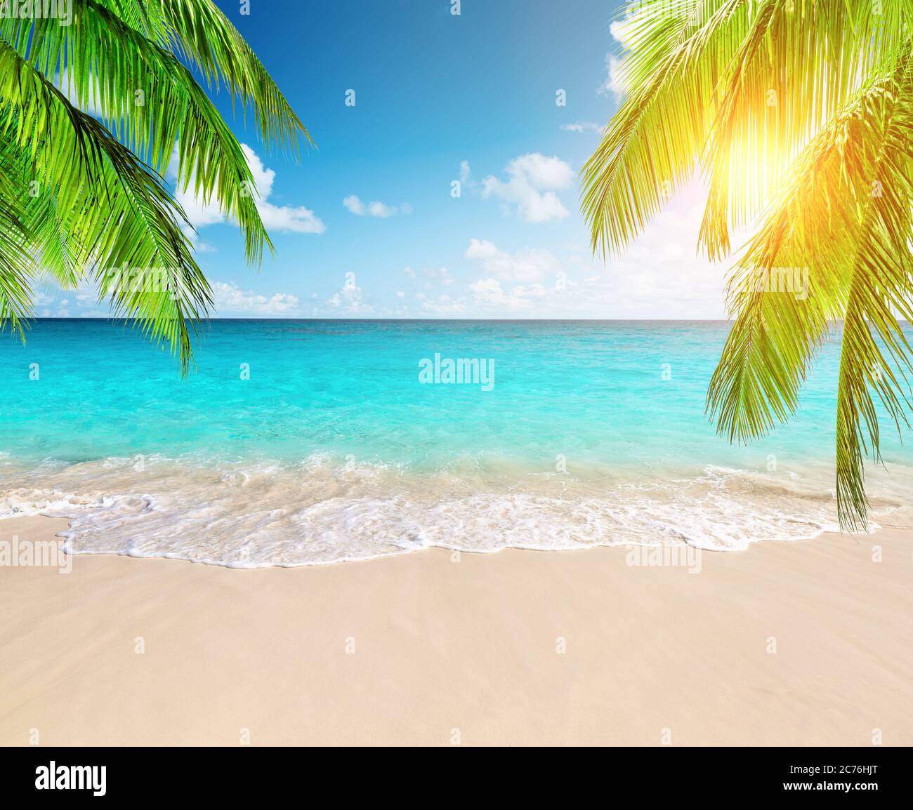Coconut palm trees against blue sky and beautiful beach in Punta Cana, Dominican Republic. Vacation holidays background wallpaper. View of nice tropic Stock Photo