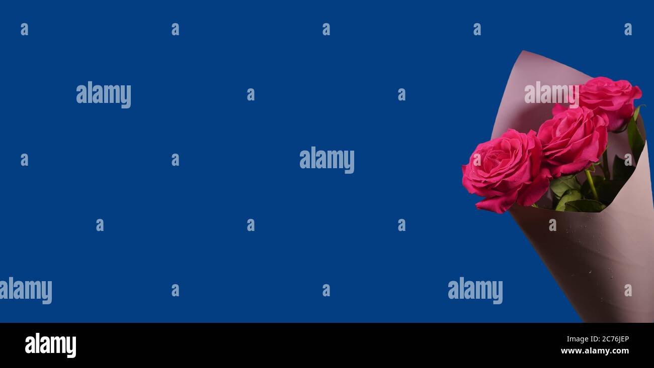 Bouquet of red roses on a classic blue background Stock Photo