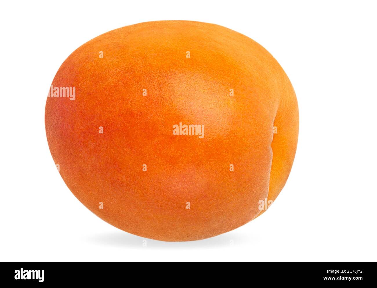 Apricot isolated on white background with clipping path Stock Photo - Alamy