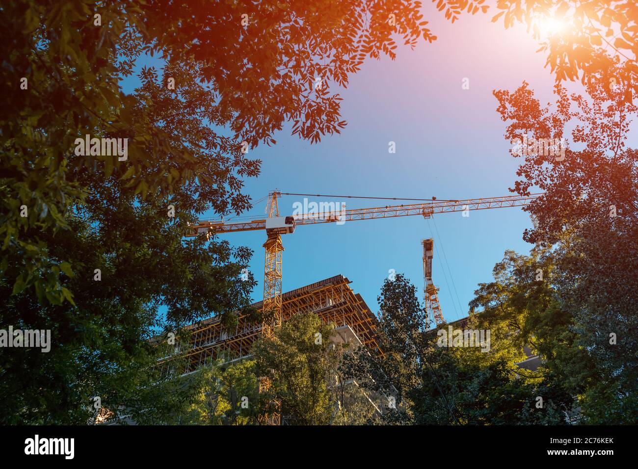 modern construction crane work on site and build skyscraper in forest