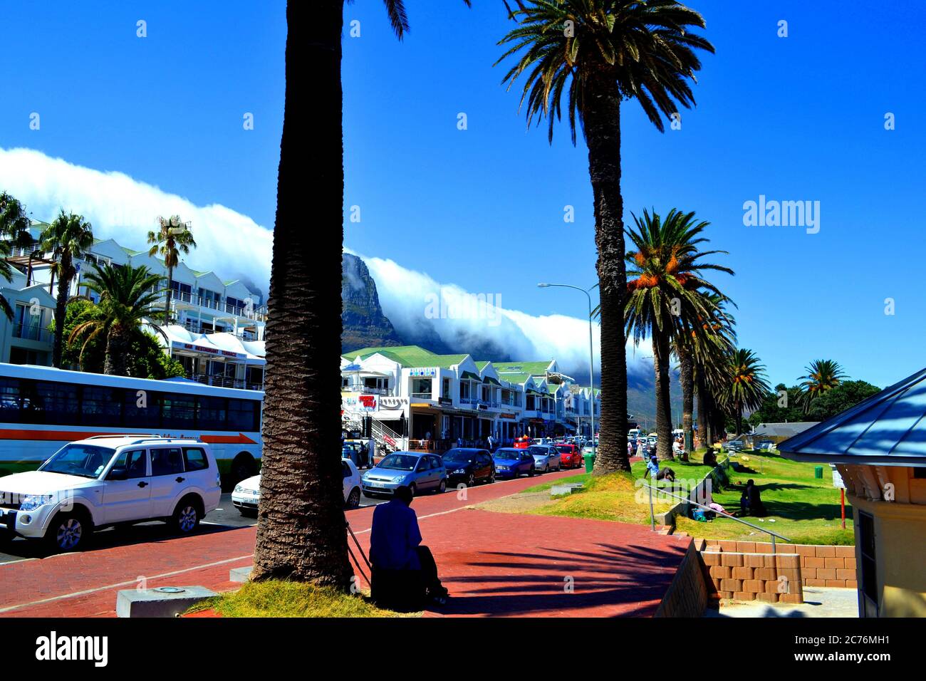 Tall palm trees in Camps Bay, Cape Town, South Africa Stock Photo Alamy