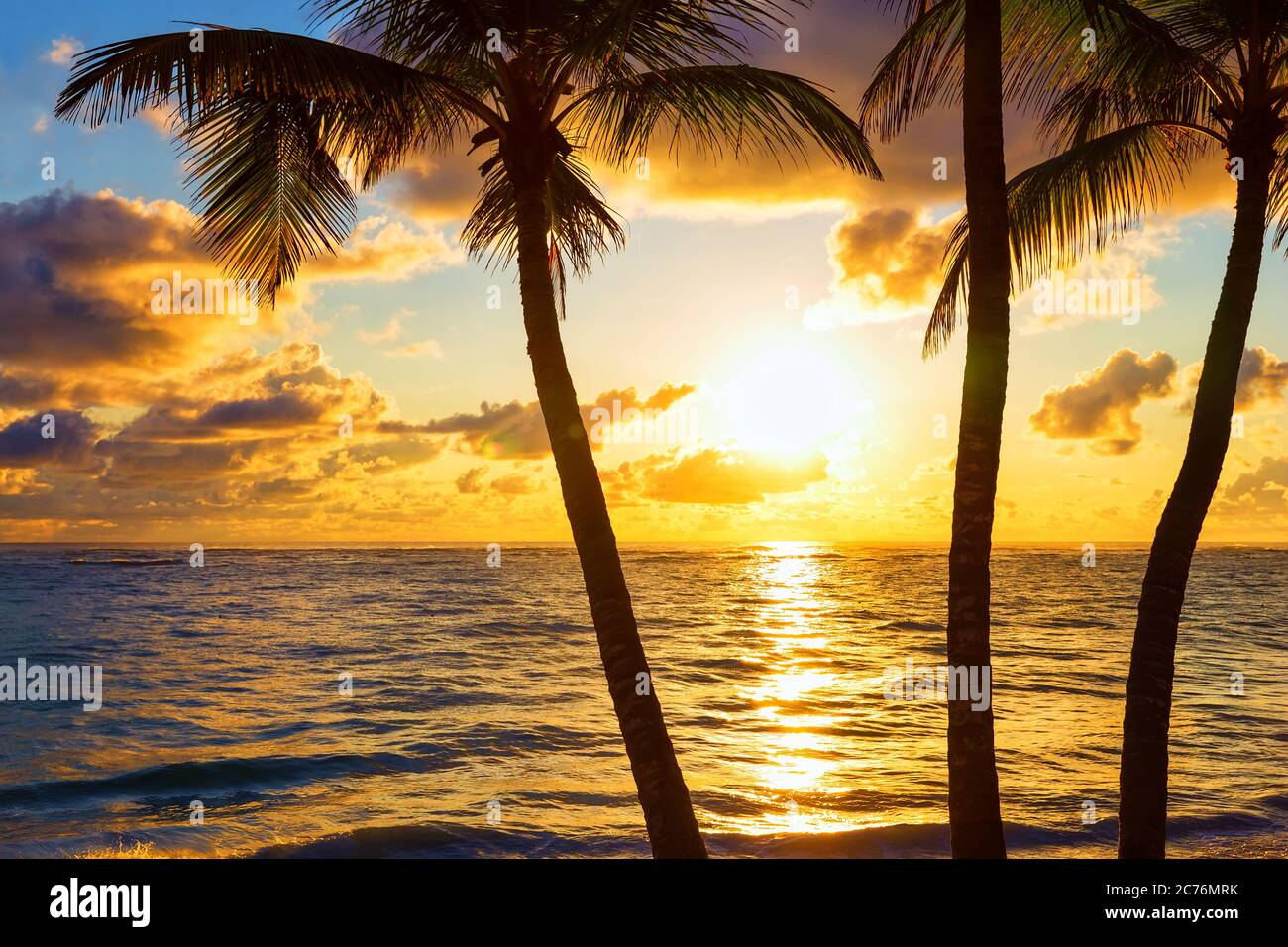 Coconut palm trees on colorful sun set Stock Photo