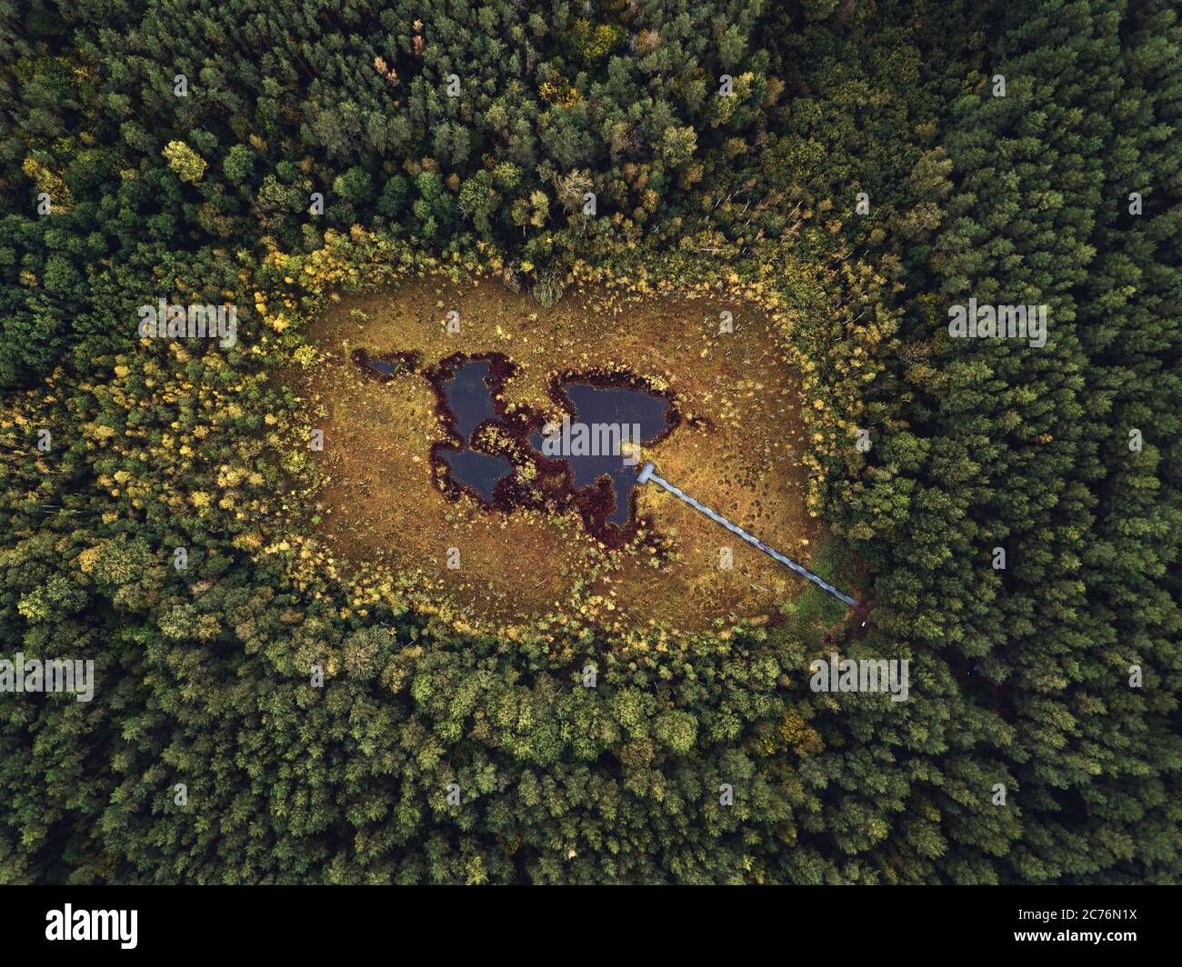 Aerial view of a swamp, Meteliai Regional Park, Lithuania Stock Photo