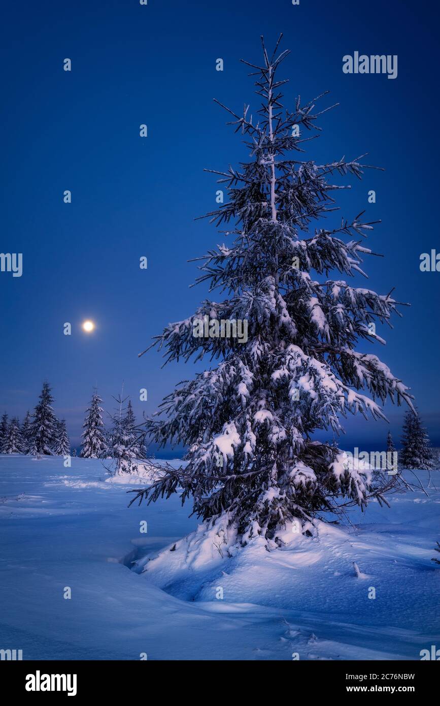 Moon rise in the night scene during winter  in Marisel, Cluj County, Transylvania Region, Romania Stock Photo