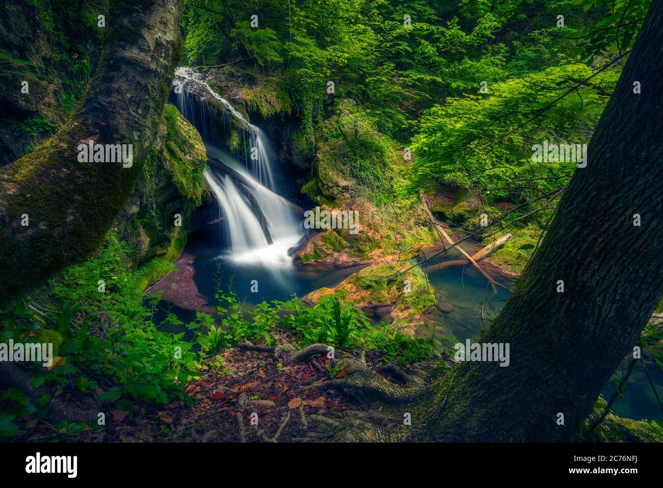 Vaioaga waterfall big waterfall in Nera gorges Cheile Nerei in Romania framed between two trees Stock Photo