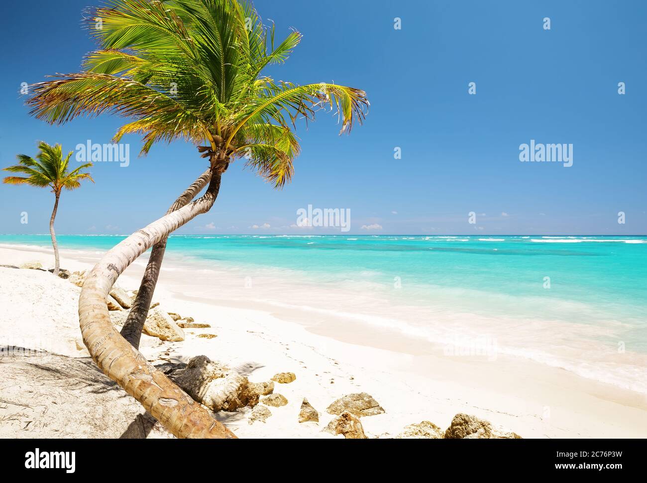 Coconut Palm trees on white sandy beach in Punta Cana, Dominican Republic Stock Photo