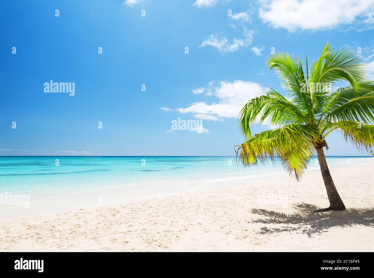 Beautiful tropical white beach and coconut palm trees. Holiday and vacation concept. Stock Photo