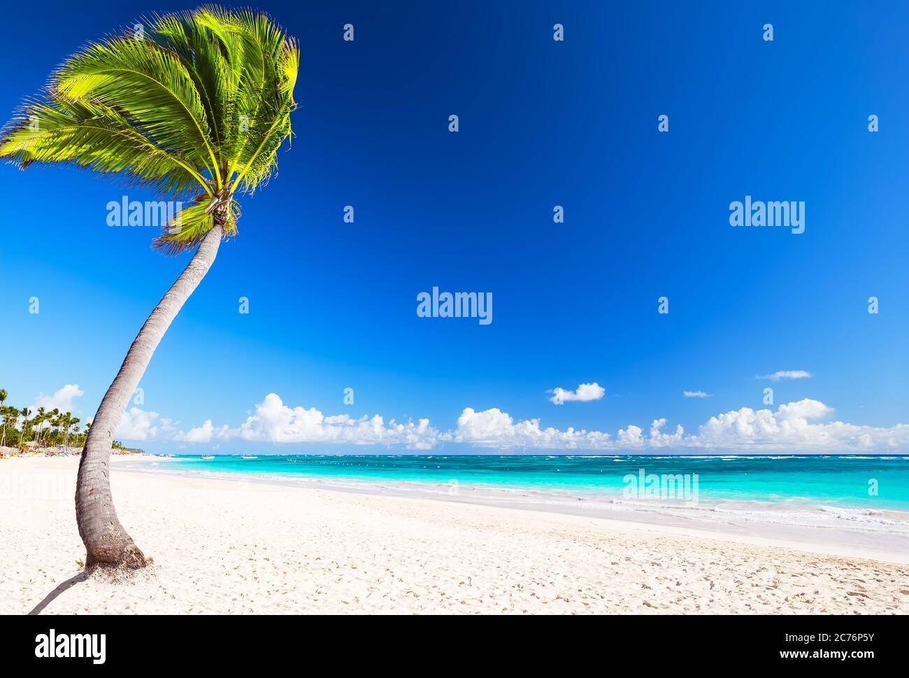 Beautiful tropical white beach and coconut palm trees. Holiday and vacation concept. Stock Photo
