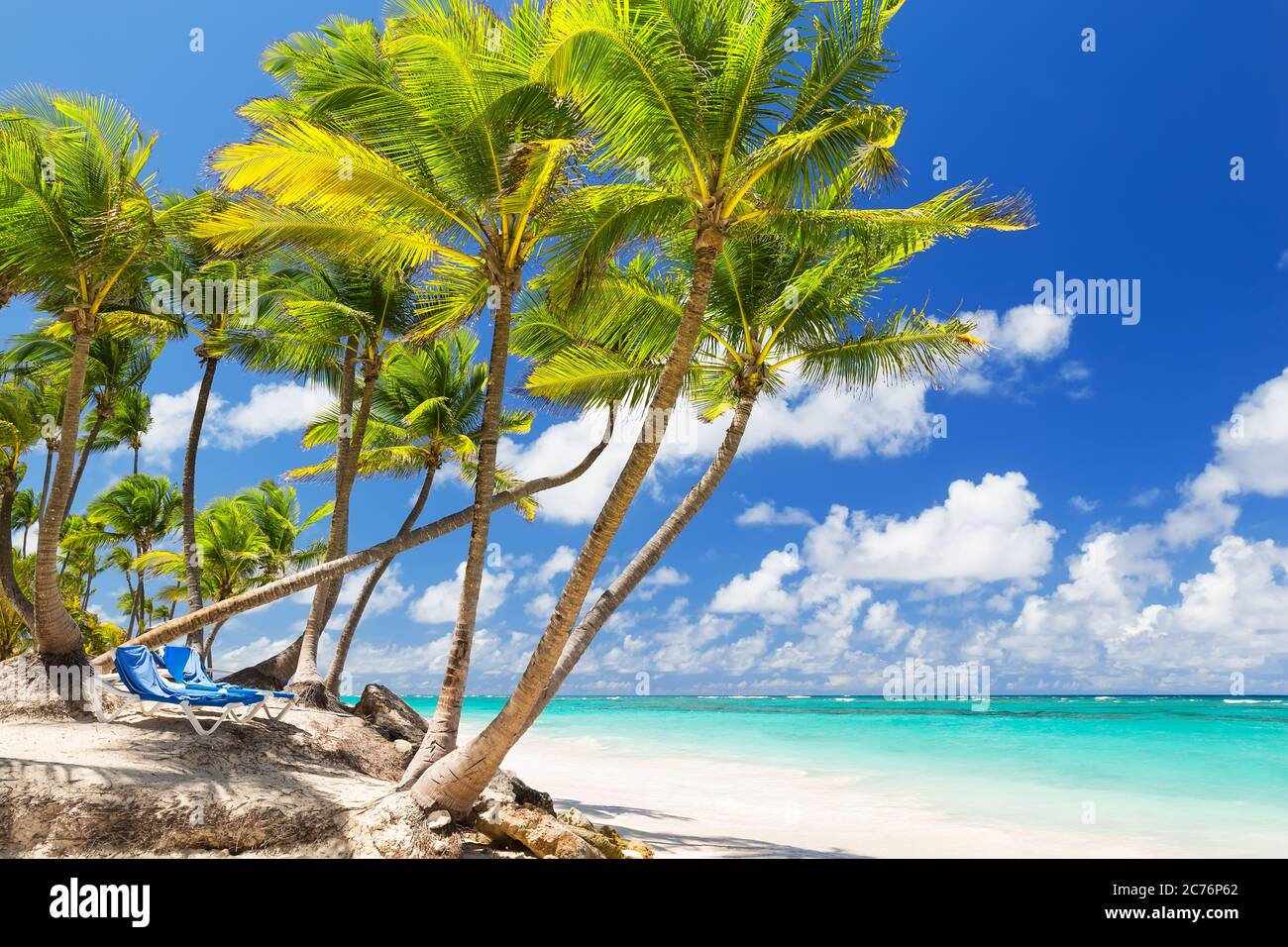 Coconut Palm trees on white sandy beach in Punta Cana, Dominican Republic Stock Photo Alamy