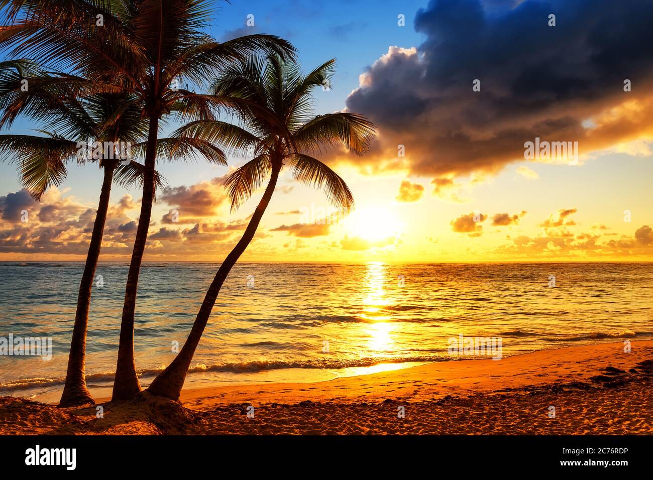 Coconut palm trees against colorful sunset Stock Photo