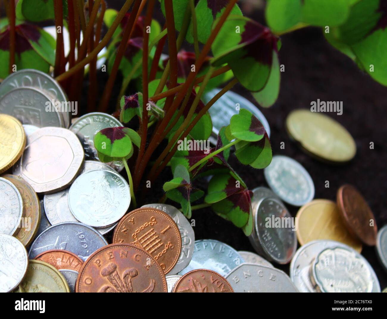 The picture shows coins from foreign countries and lucky clover Stock Photo