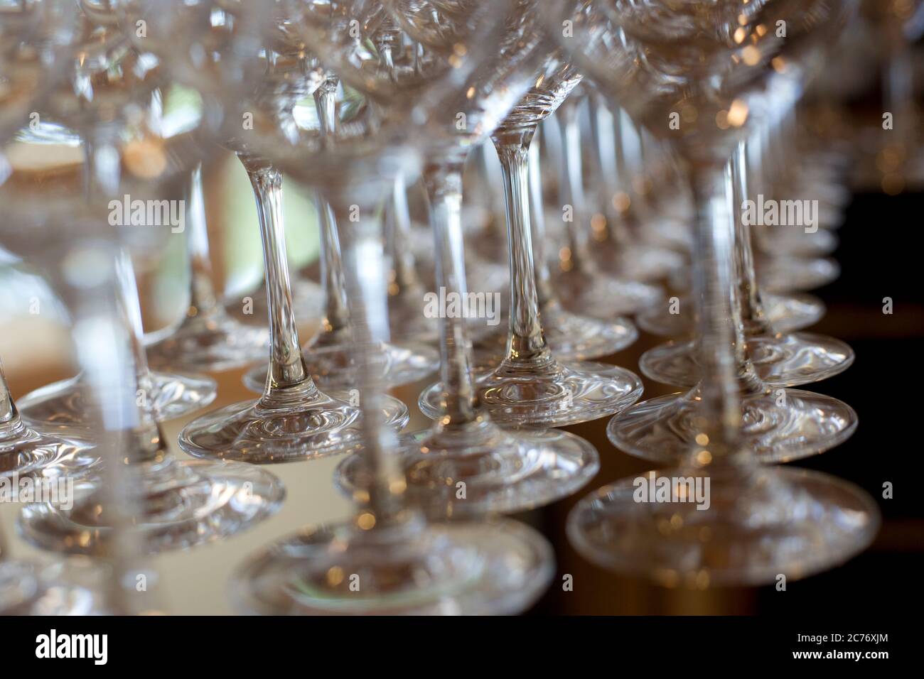 Still life of a lineup of elegant wine glasses Stock Photo
