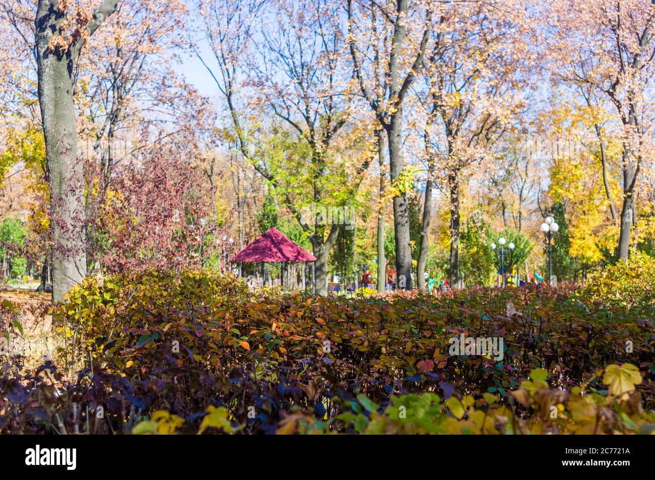 Autumn urban landscape on a Sunny day - yellow autumn trees in the Park ...