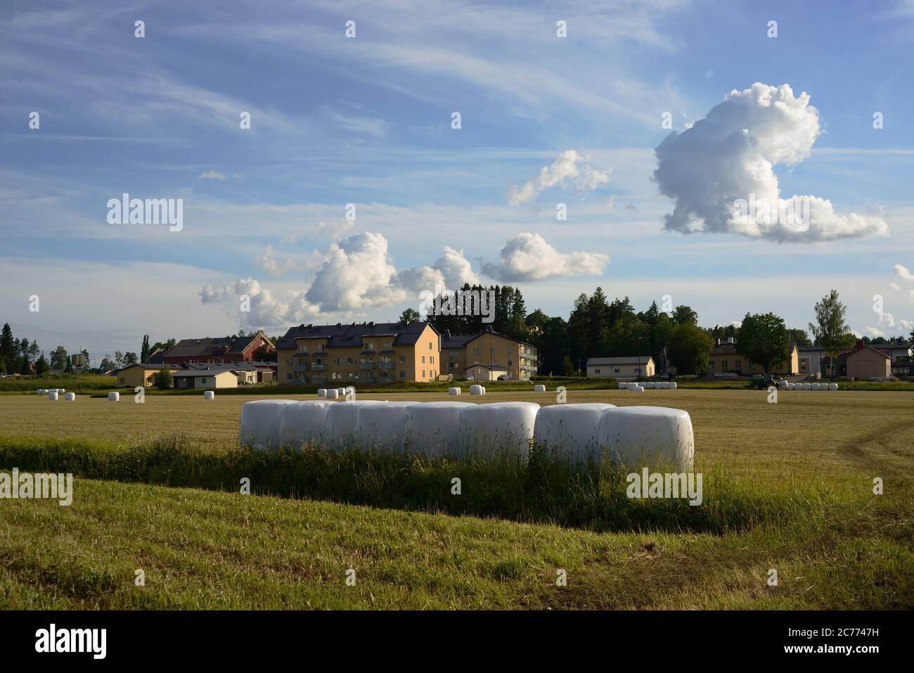 sloping field and hay bales packed in white plastic in Jarvenpaa, Finland Stock Photo