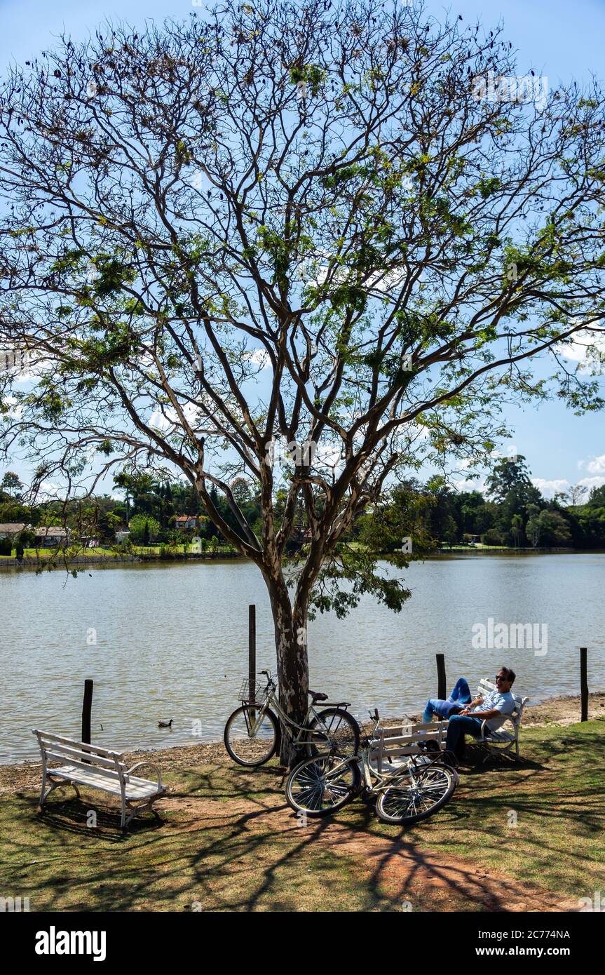 A couple seated on one of Vitoria Regia square benches and enjoying the beautiful landscape around Vitoria Regia lake in early morning. Stock Photo
